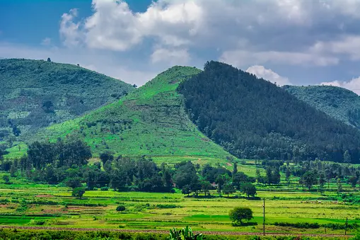 Photo of Araku