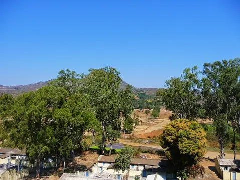 Photo of Araku