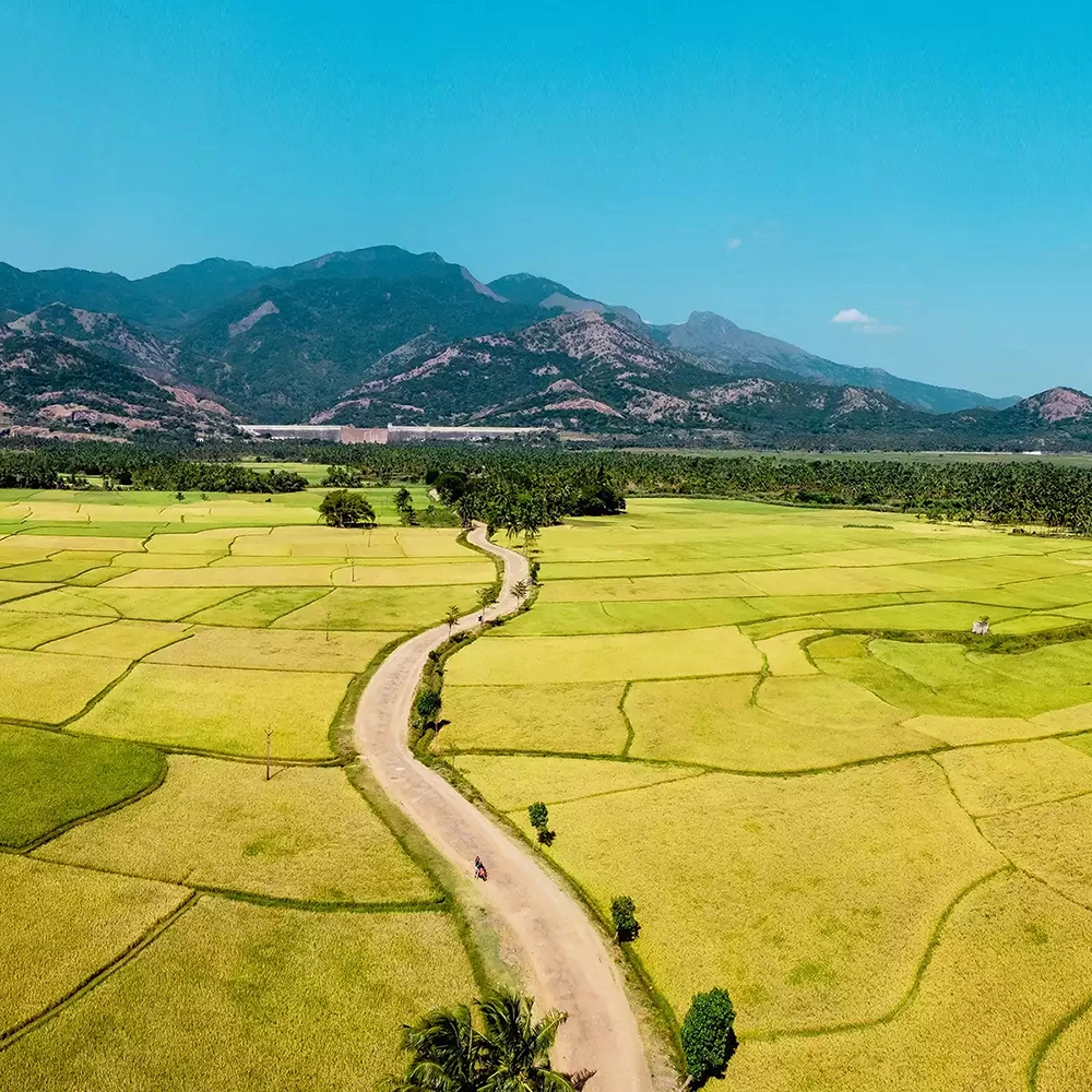 Photo of Tenkasi