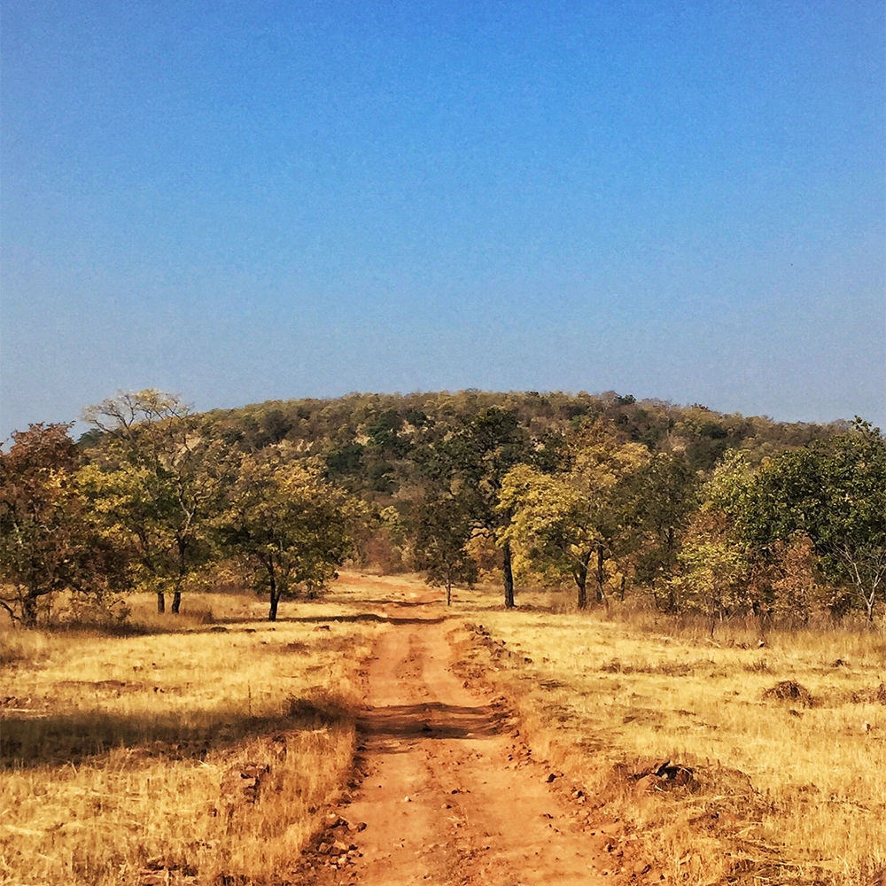 Photo of Gadchiroli–Chimur