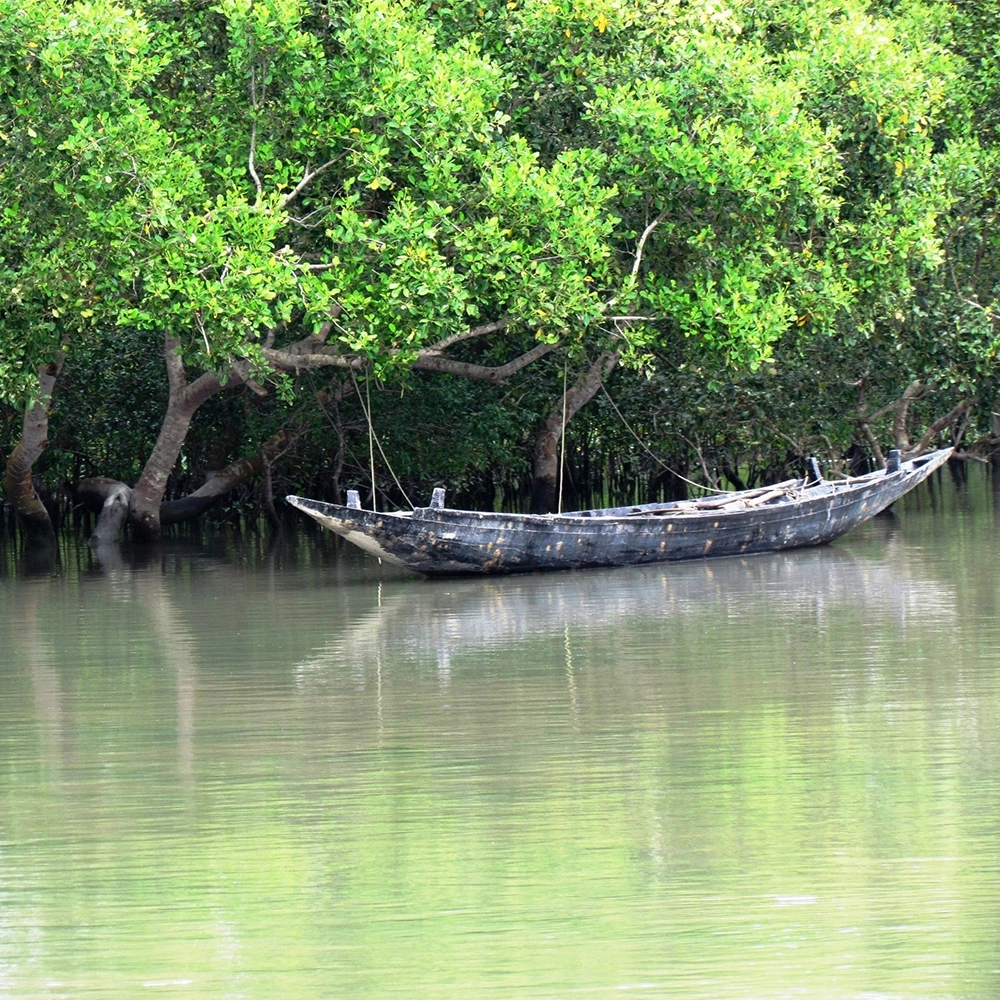 Photo of Basirhat