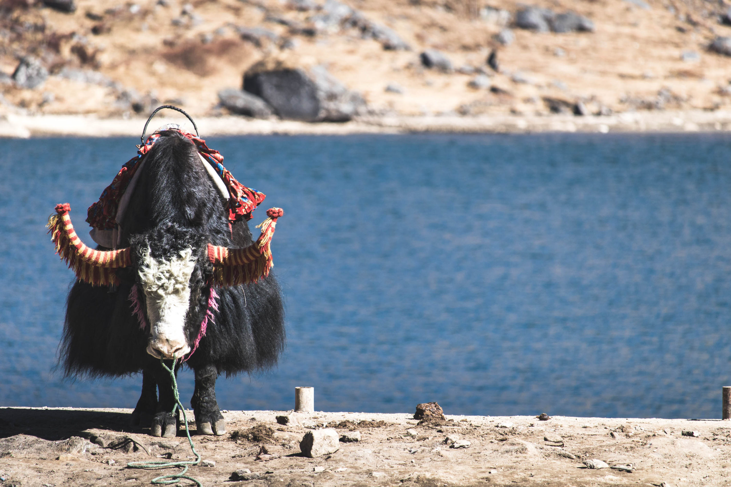 Photo of Sikkim